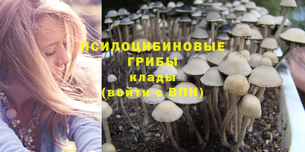 таблы Новокубанск
