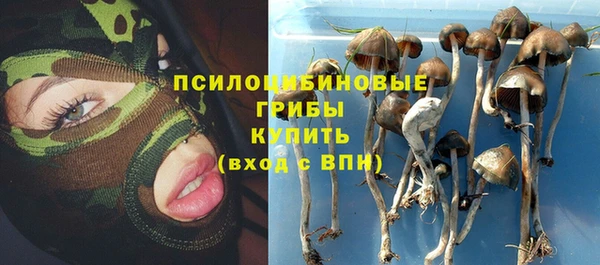 дурь Болохово