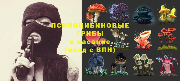 первитин Нягань