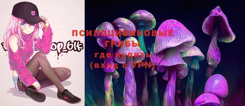 Псилоцибиновые грибы Magic Shrooms  Махачкала 