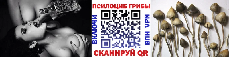 Псилоцибиновые грибы мухоморы ссылка на мегу tor Махачкала