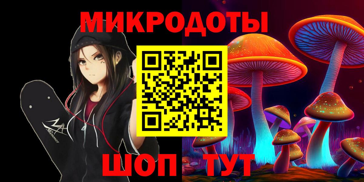 Галлюциногенные грибы Psilocybine cubensis Махачкала
